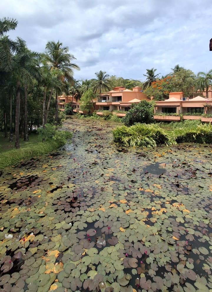 Me looking great at the resort